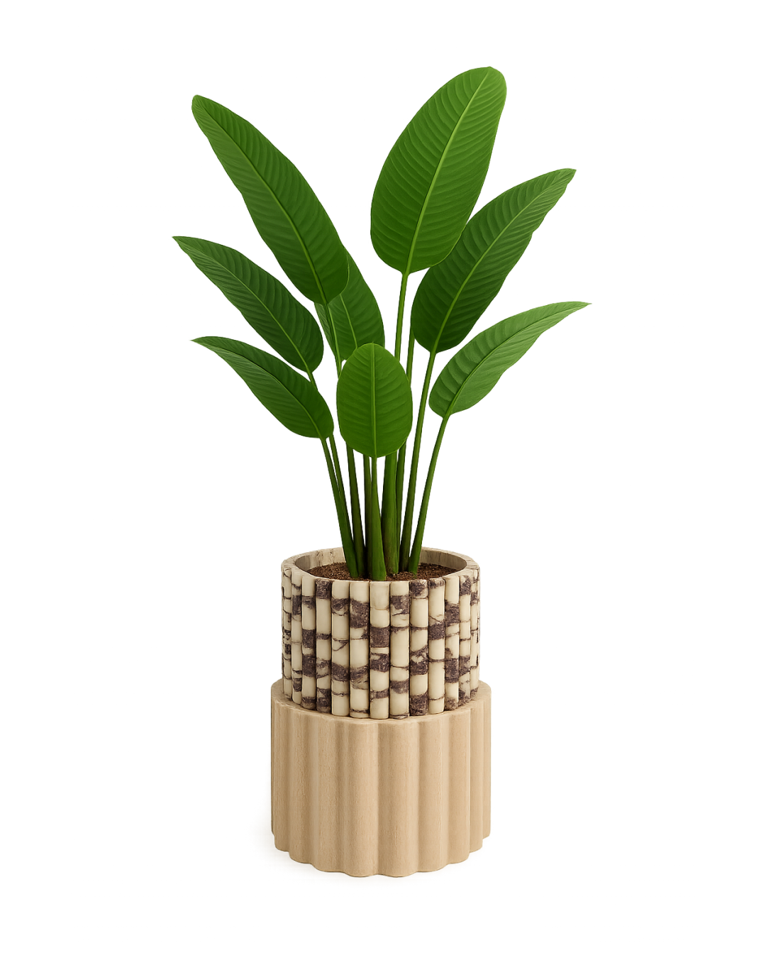 Hero image showing full view of Amara Planter with travertine base, Calacatta Viola marble top, and tropical plant
