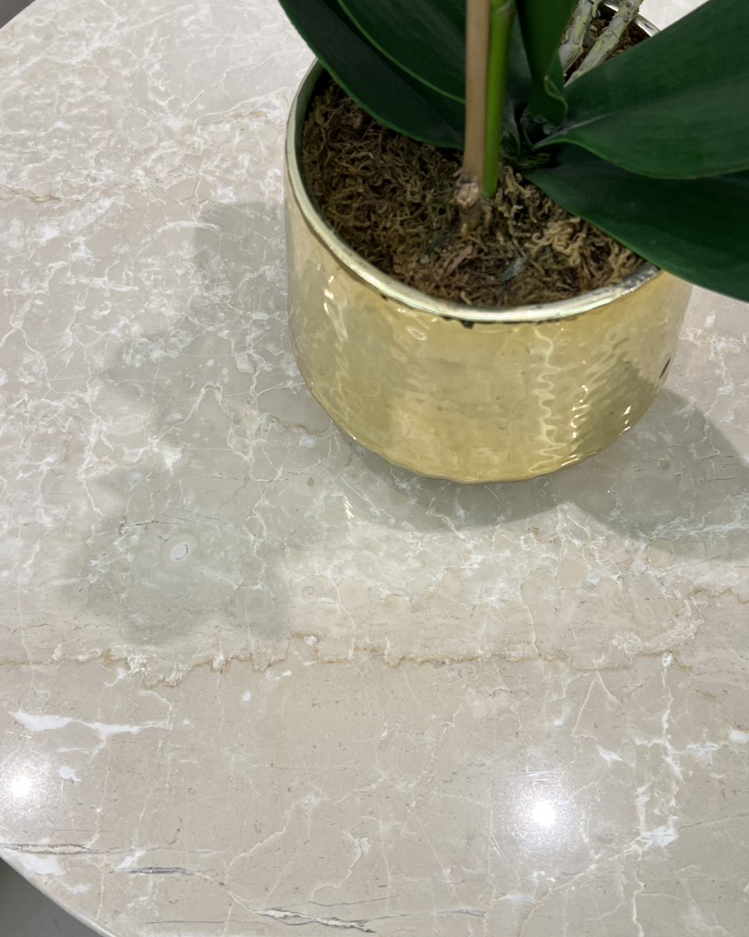 Close-up of polished Botticino marble top surface