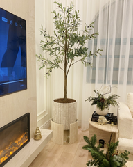 Frontal view of Luxuria Planter with olive tree