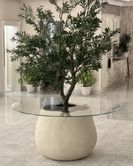 Full view of Oliva Planter with olive tree and clear glass top
