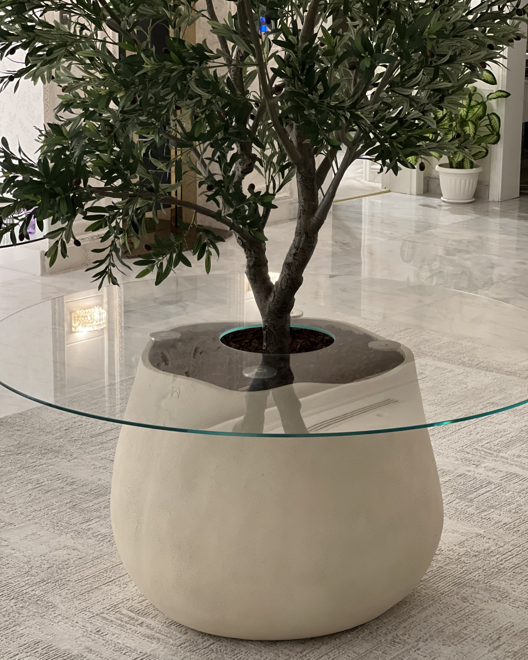 Top-down view showing transparent glass and tree trunk