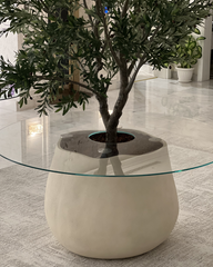 Top-down view showing transparent glass and tree trunk
