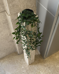 Top angle showing square opening and plant placement