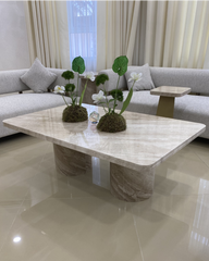Zina Coffee Table front view showcasing marble veining