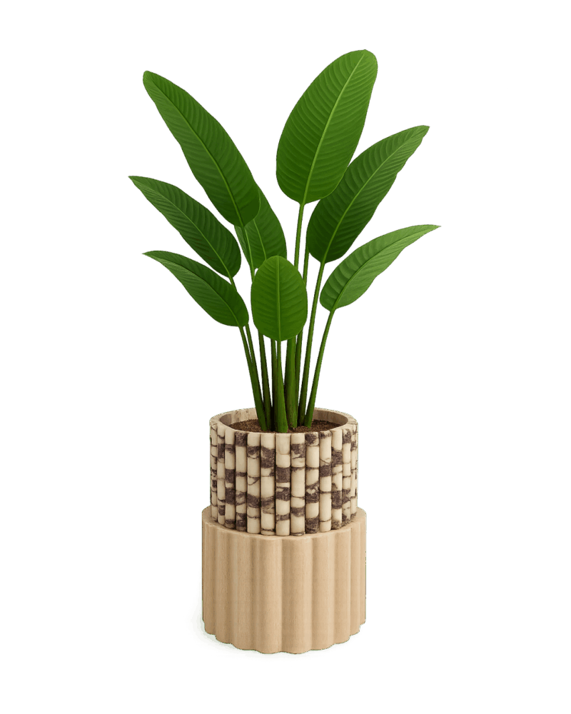Amara Planter