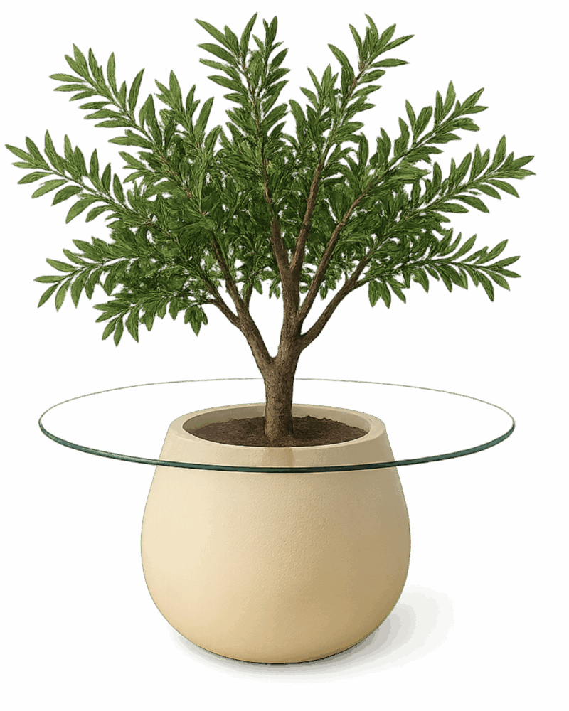 Oliva Planter