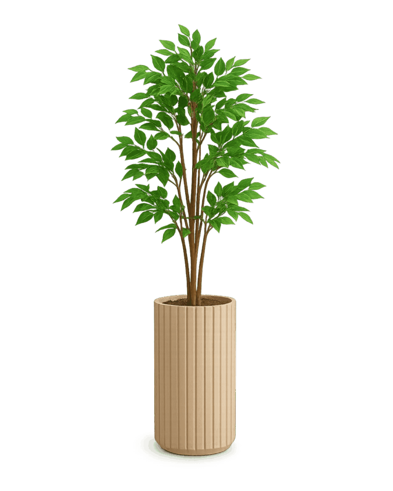 Ravino Planter